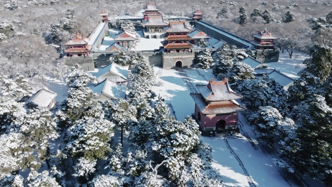 4K高清雾凇冰雪寒冷沈阳北陵公园雪景