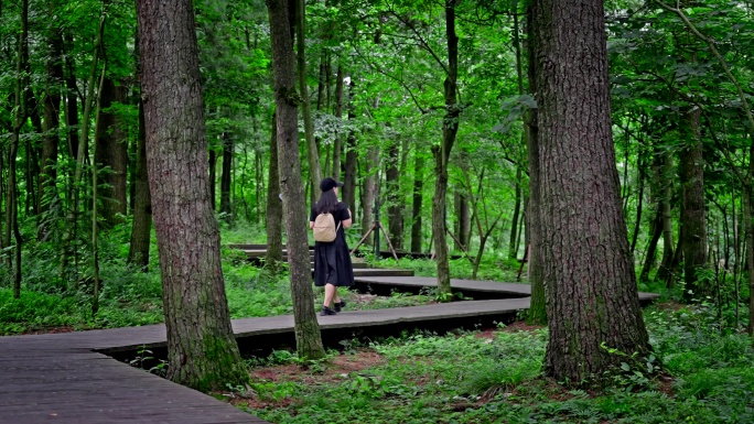 在森林里旅行徒步的女生