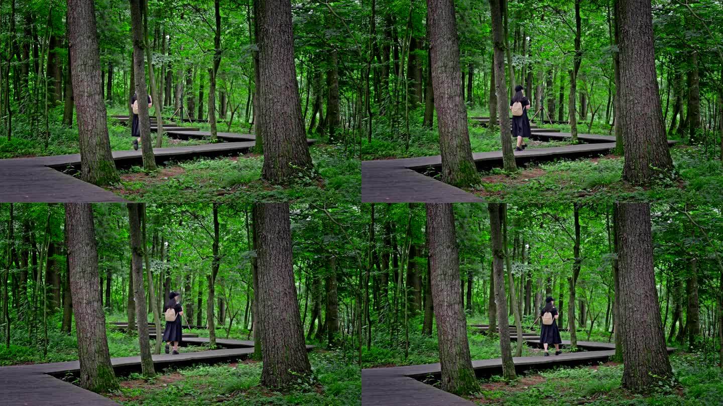 在森林里旅行徒步的女生