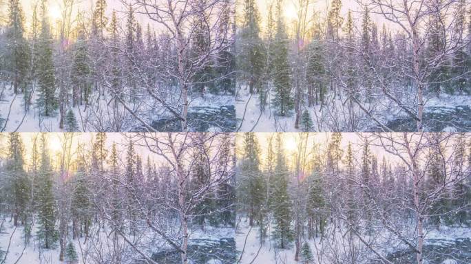 美丽的冬季山景。绚丽多彩的日出。小雪飘落。自然背景。失效。冬季户外活动的概念。