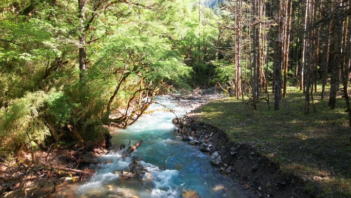 王朗国家级自然保护区 四川绵阳平武县