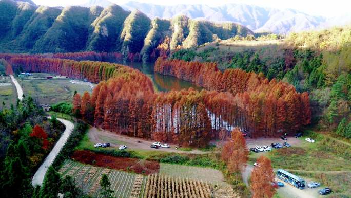 南郑区龙池秋景