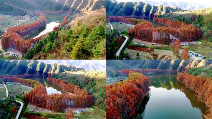 南郑区龙池秋景