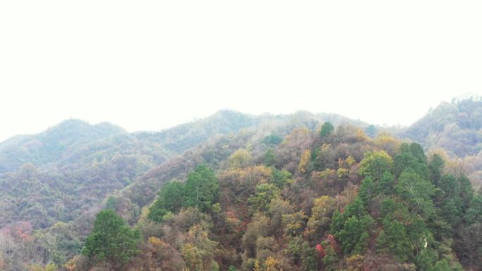 航拍云海秦岭云海秋季风景