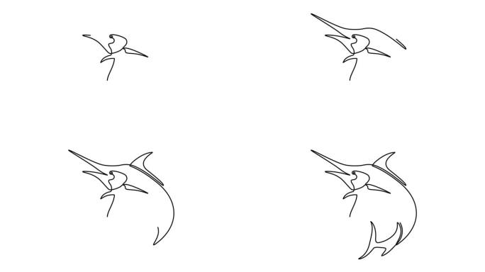 动画视频的新鲜马林鱼，旗鱼，旗鱼在连续的线条艺术风格。