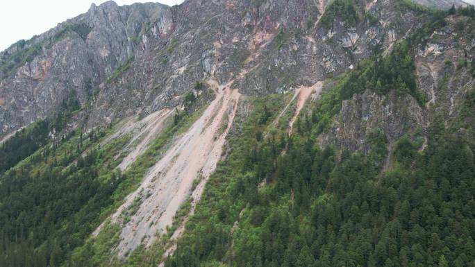 王朗国家级自然保护区 四川绵阳平武县