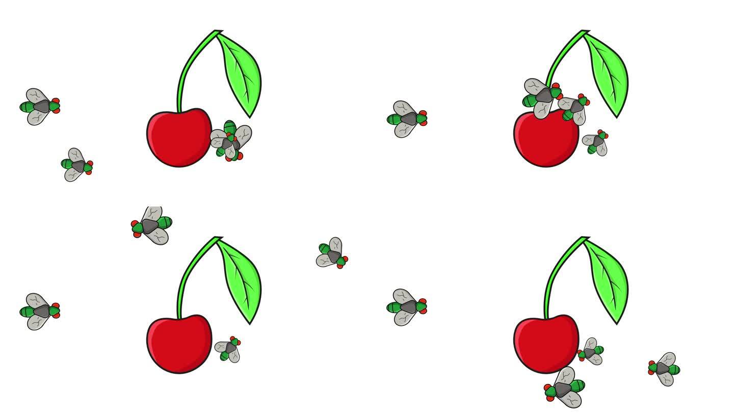 樱桃被苍蝇攻击的动画