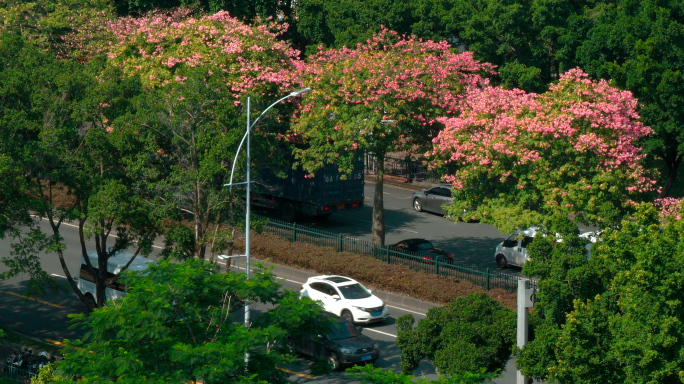 广州道路空镜