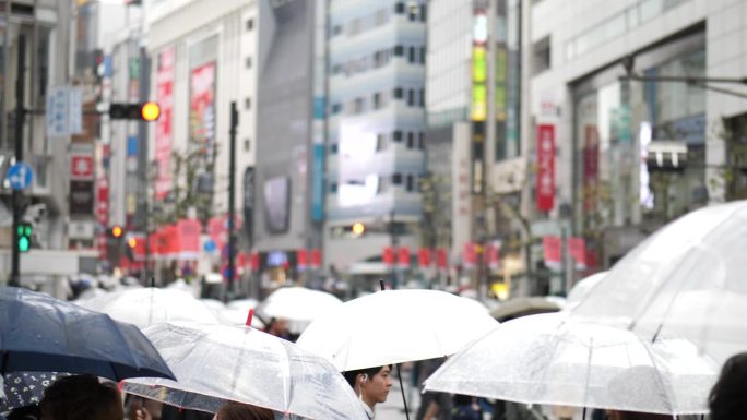 一群人打着伞在雨中行走