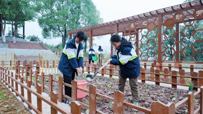 学生种菜 种植基地 学校种植基地