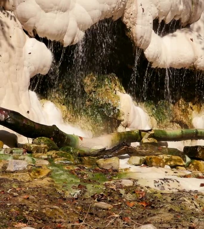在美丽的自然环境中，热矿泉水流过白色的碳酸钙岩矿床，这是一个天然的地热石灰华泉。热瀑布的垂直视频