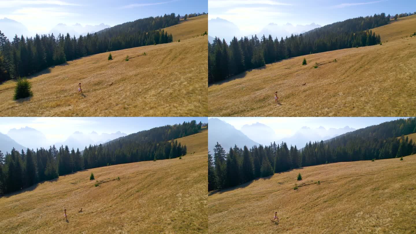 女子带着她的狗在风景秀丽的山间草地上散步