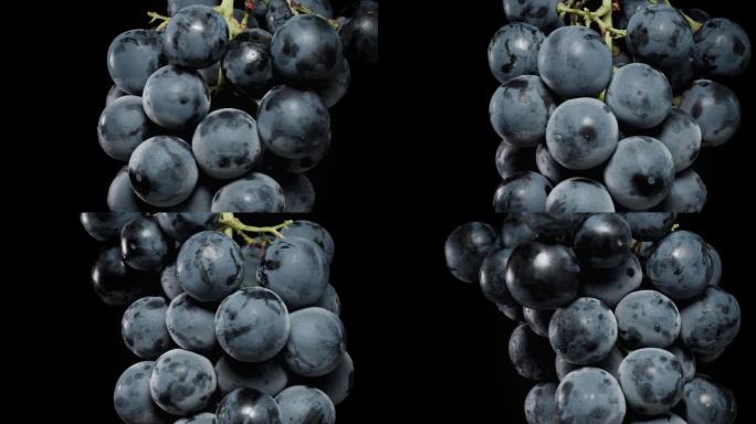 一串黑葡萄的特写，大而圆的浆果，黑色的背景。