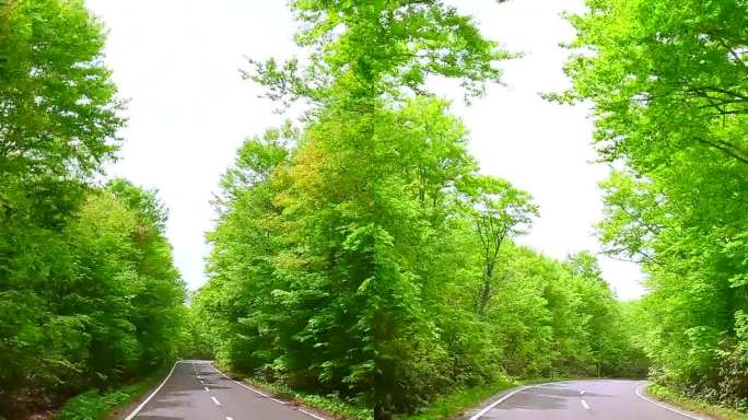 沿着美丽的春绿山路行驶