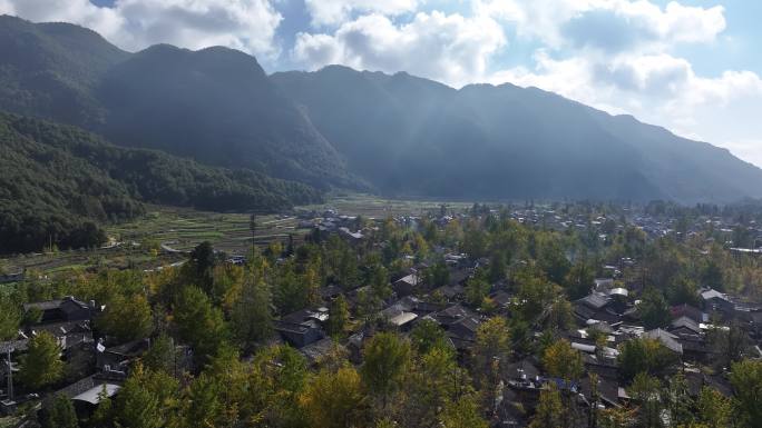 云南腾冲银杏村风景