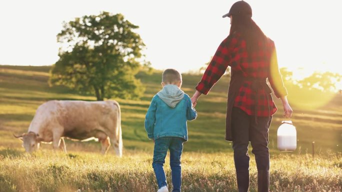 母亲和男婴站在牧场上给牲畜挤奶，看着奶牛在草地上吃草。为农牧业生产天然健康产品。一家人在大自然中散步