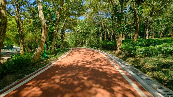 公园道路跑道 林间小路 林荫大道