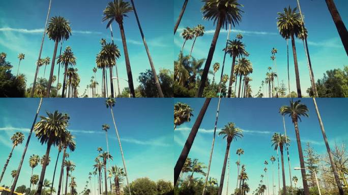 棕榈树掠过蓝天。开车穿过阳光明媚的比佛利山庄。加州洛杉矶。