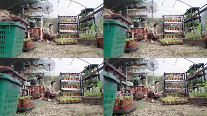 一个美丽的亚洲城市农民在一个小温室里进行质量控制检查的肖像