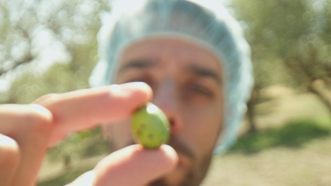 农艺学科学家拿着橄榄检查质量