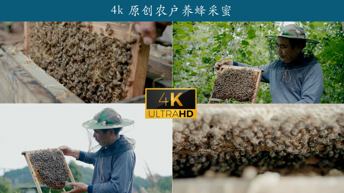 4k 原创农户养蜂采蜜