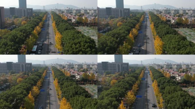 诸暨城区秋季景色