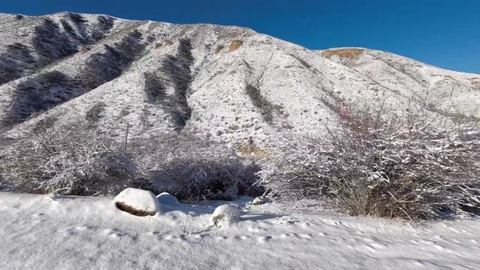 雪后进入冬山峡