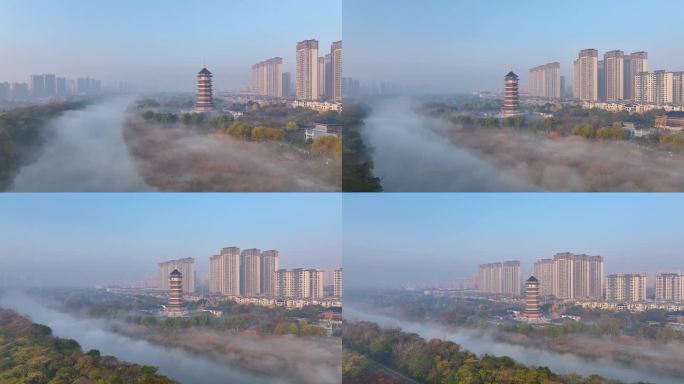 江苏淮安：初冬云雾湿地美