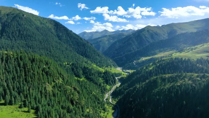 高山森林航拍视频素材