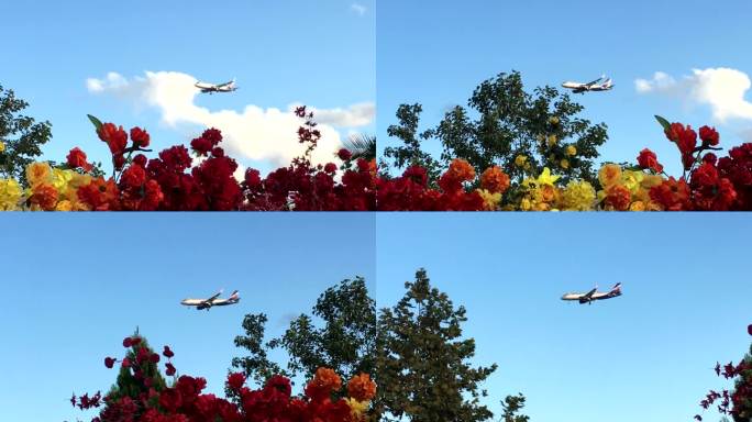 飞机在云中以鲜花为背景