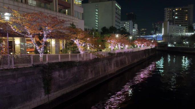 东京目黑河照明2023