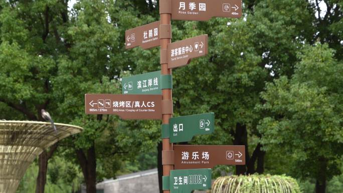 上海滨江森林公园的风景