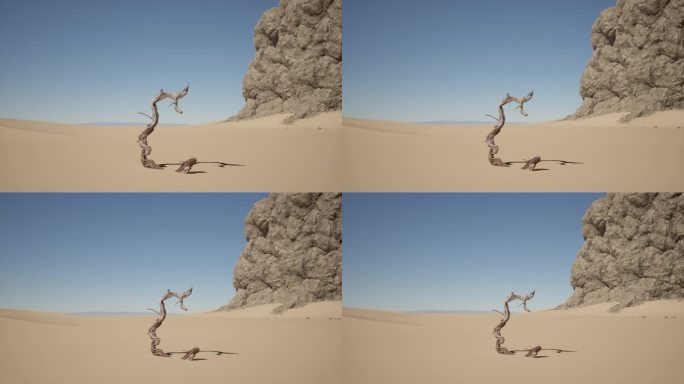沙漠中的一棵枯树