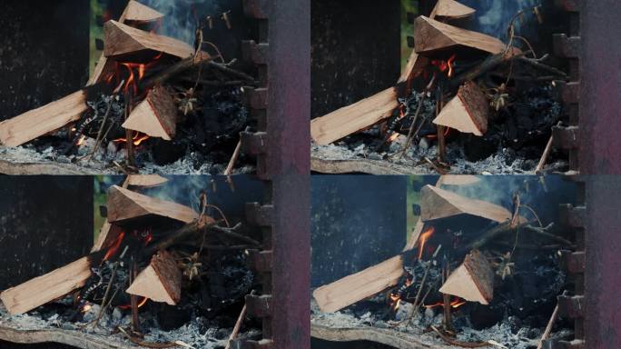 在烧烤架上燃烧的树枝。烧烤火焰。垂直视频