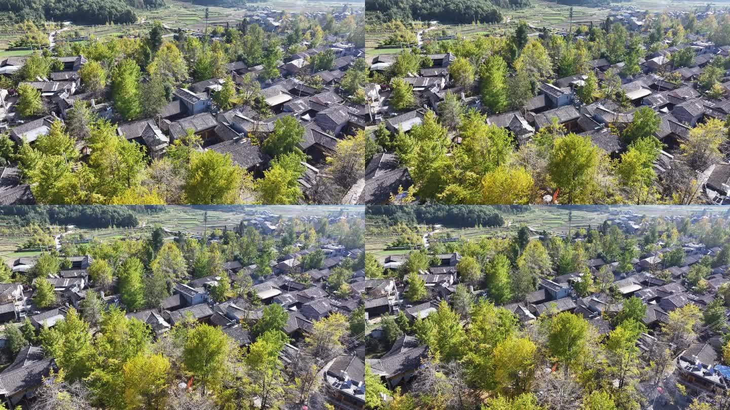 腾冲银杏村的村寨风景