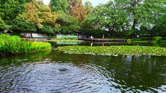 杭州西湖景区郭庄园林风光