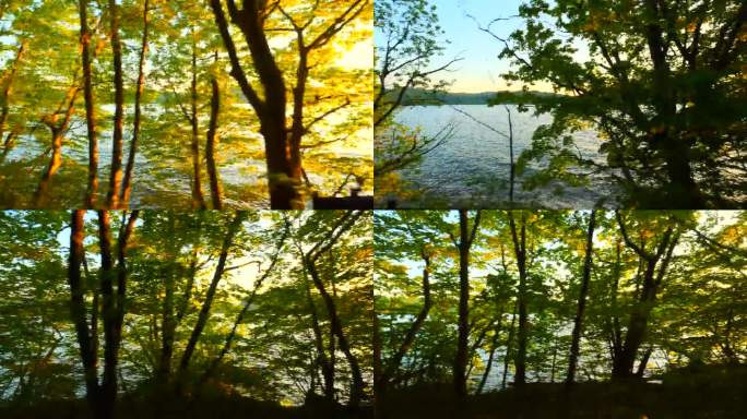 开车的时候，可以看到夕阳和透过树林看到的湖泊