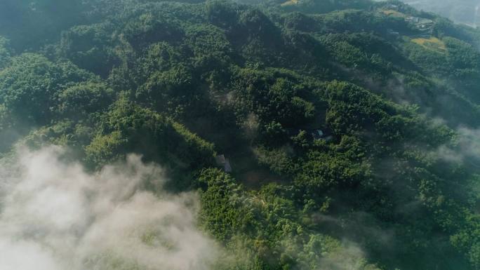 4K山川竹海云雾仙境穿云航拍