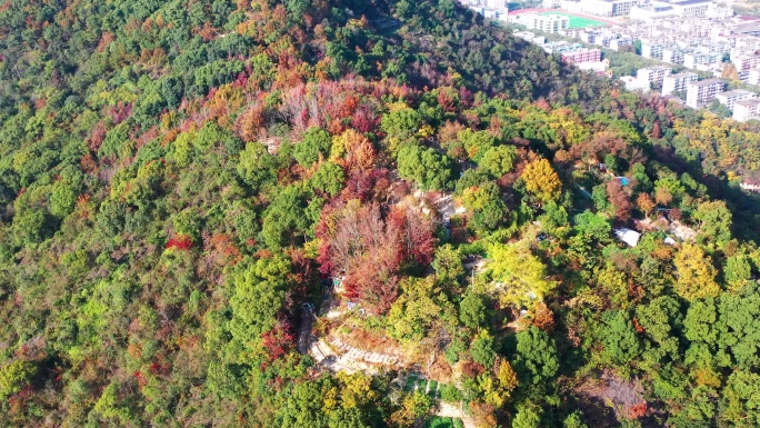 台州市椒江区，枫山沿途风光