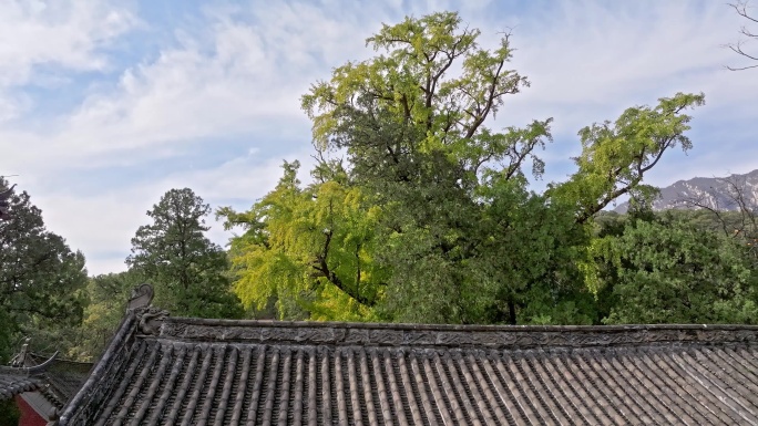 航拍郑州嵩山大法王寺