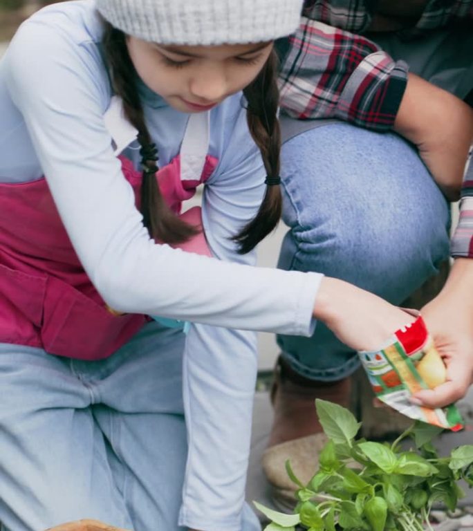 母亲、女孩和花园一起播种蔬菜、花和后院的木容器。妈妈，女儿和学习与土壤，泥土和地球的成长，可持续发展