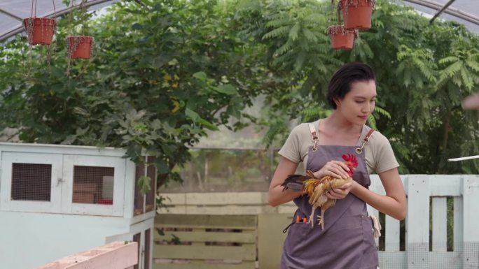 美丽的亚洲女农民照顾一只公鸡