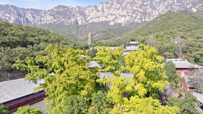 航拍郑州嵩山大法王寺