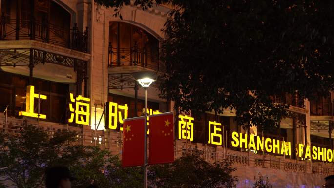 南京步行街的夜景的 (103)