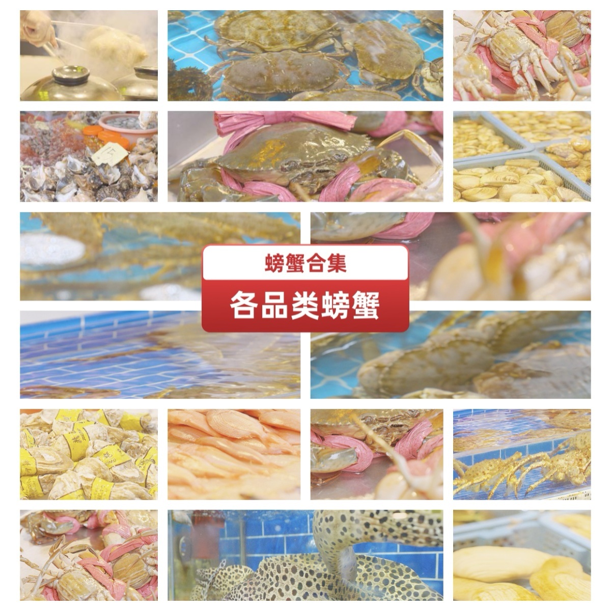 热闹海鲜市场市民买海鲜海产品龙虾大闸蟹鱼