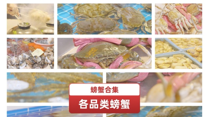 热闹海鲜市场市民买海鲜海产品龙虾大闸蟹鱼