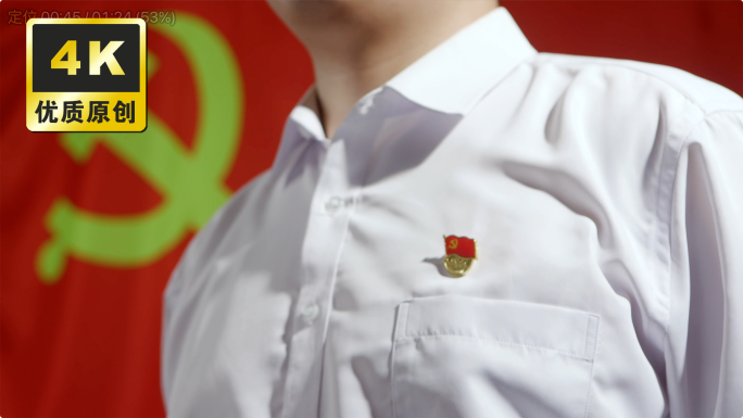 党员入党宣誓对党旗宣誓佩戴抚摸党徽