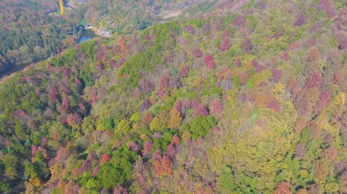 武汉木兰天池风景区深秋风光