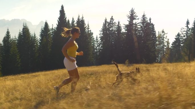 特写:一位快乐的女士正带着她的棕色狗在金色的高山草地上奔跑