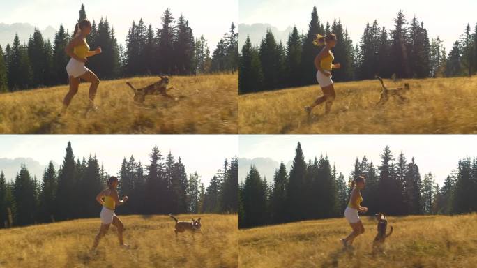 特写:一位快乐的女士正带着她的棕色狗在金色的高山草地上奔跑